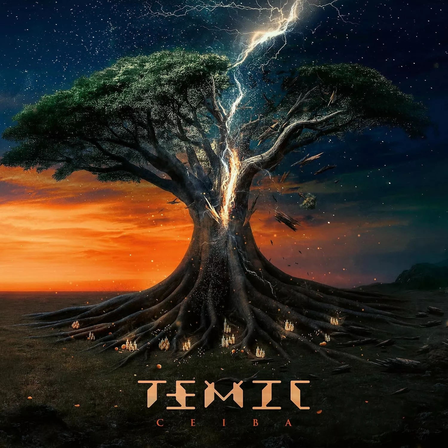 Review: Temic :: CEIBA
